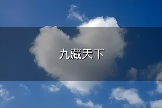 九藏天下与九藏天下