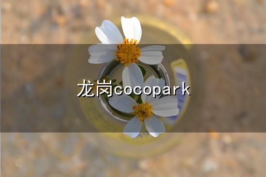 龙岗cocopark和龙岗 龙岗cocopark与龙岗