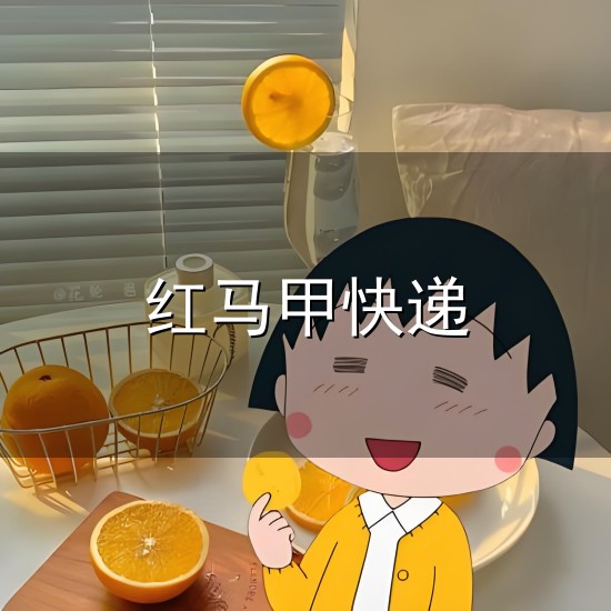 红马甲快递与马甲