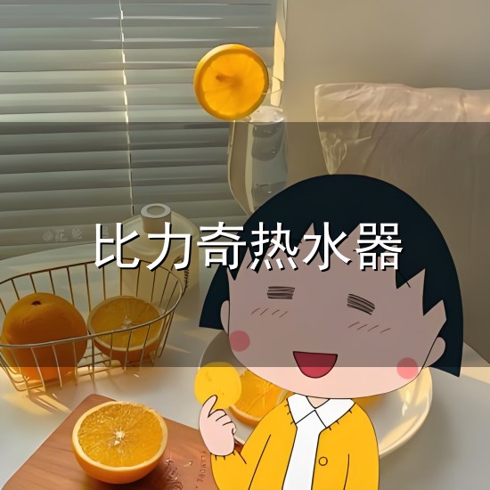 比力奇热水器 比力奇热水器全国售后-批发价格-优质货源-百度爱采购