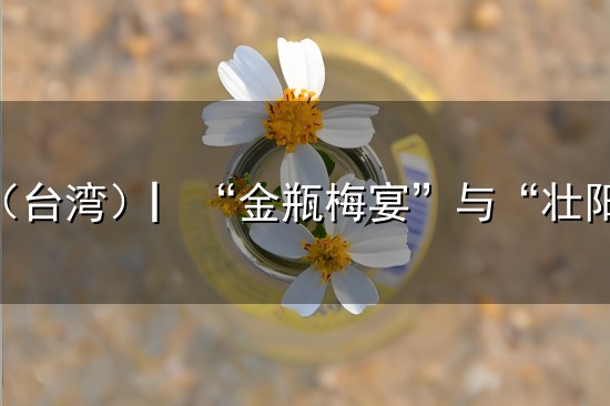 陈益源(台湾)▏“金瓶梅宴”与“壮阳食谱” 陈益源(台湾)▏“金瓶梅宴”与“壮阳食谱”