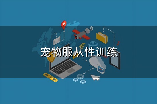 宠物服从性训练与服从性