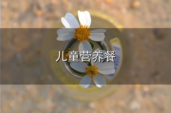 儿童营养餐和营养餐 儿童营养餐与营养餐