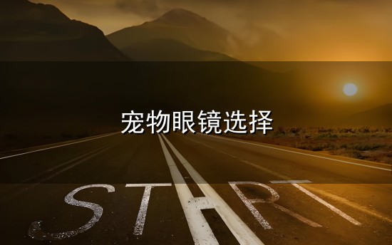 宠物眼镜选择和眼镜 宠物眼镜选择与眼镜