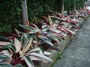 欧意抽油烟机怎么样 欧意油烟机优势及价格介绍【详解】