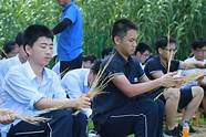 在感悟中收获惊喜 精选19篇