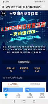 网络创业项目