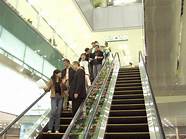 中国工业新闻网人员查询(中国工业新闻网贾支渝)