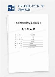 syb创业计划书与计划书