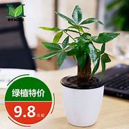 花肌漾是什么品牌(花肌粹公司简介) 花肌漾是什么品牌(花肌粹公司简介)