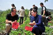 农村创业项目大全与农村