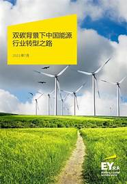 双碳目标下机遇(双碳目标科技创新)