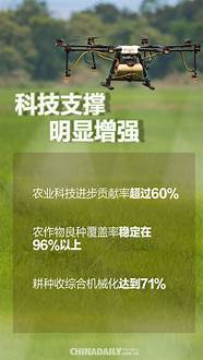 乡村振兴中的新人 加快推进乡村振兴