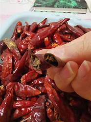 小辣椒怎么样与小辣椒