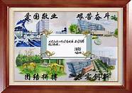 四川农业大学新传(传承川农大精神)