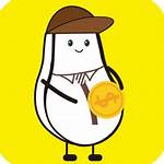 小白赚钱网页版(小白赚钱平台)