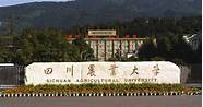 四川农业大学一流本科(四川农业大学是一流建设高校吗)