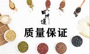 田坤道：新手创业者如何选择行业？