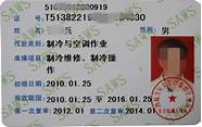 阳光巴士创业网与巴士