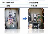 在农村创业养殖 养殖什么市场销路好 又能稳妥赚钱呢