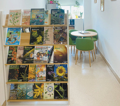 追求一流  后来居上（科技视点・加快培育世界一流科技期刊）