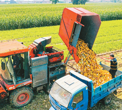 五组数据看“中国饭碗”之稳