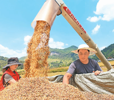 五组数据看“中国饭碗”之稳