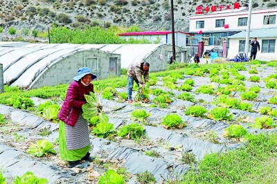 雪域边关，写下他们“最高的敬意”