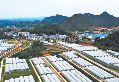 持续提升金融服务乡村振兴的能力（财经眼）