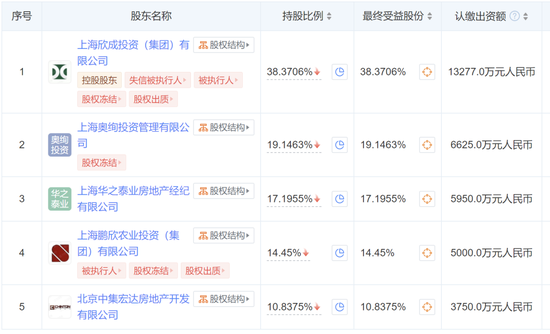蔷薇系：“神雕侠侣”的隐秘资本局