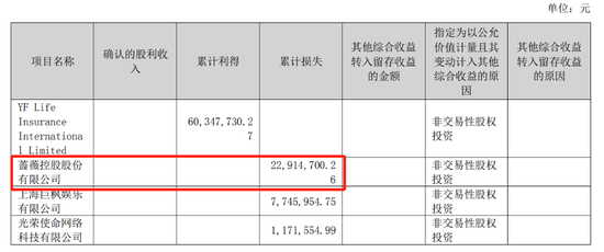 蔷薇系：“神雕侠侣”的隐秘资本局