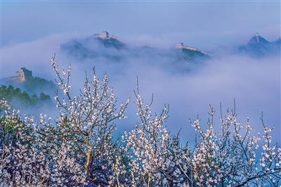 花楼沟村民镜头中的金山岭长城(文化中国行・新时代画卷)