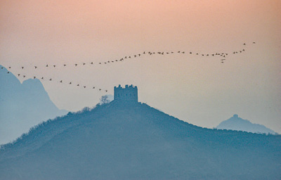 花楼沟村民镜头中的金山岭长城(文化中国行・新时代画卷)