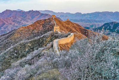 花楼沟村民镜头中的金山岭长城(文化中国行・新时代画卷)
