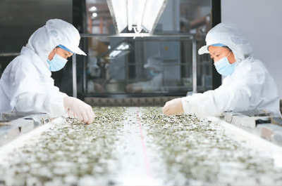 茶文化的新“国潮”