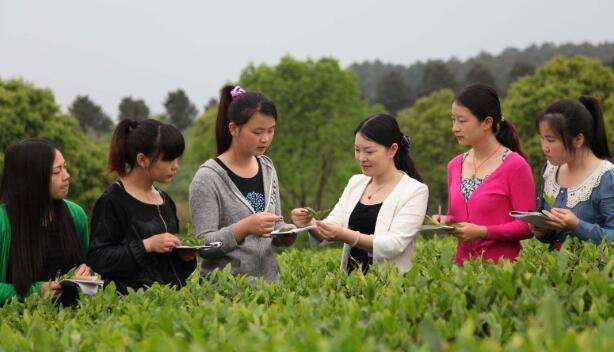 热点！农村创业点子