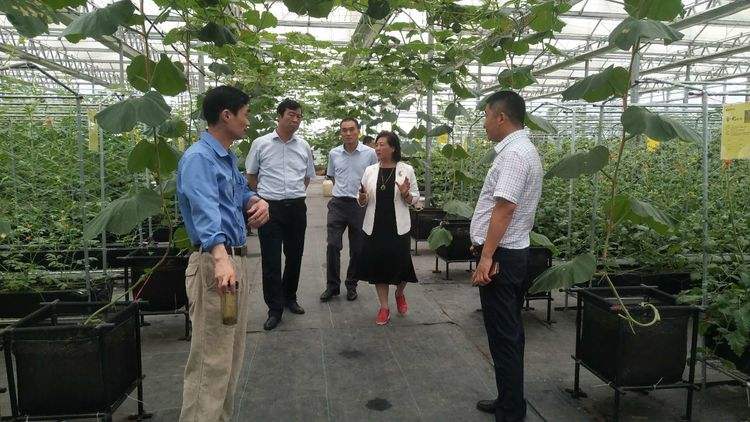 热点！台湾农民创业园