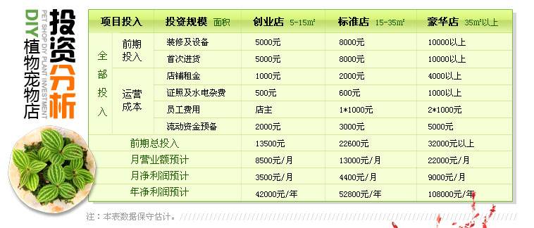 相关！阳光巴士创业网