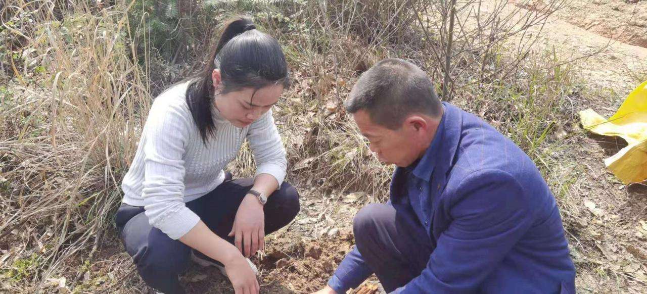 解释！农村创业故事