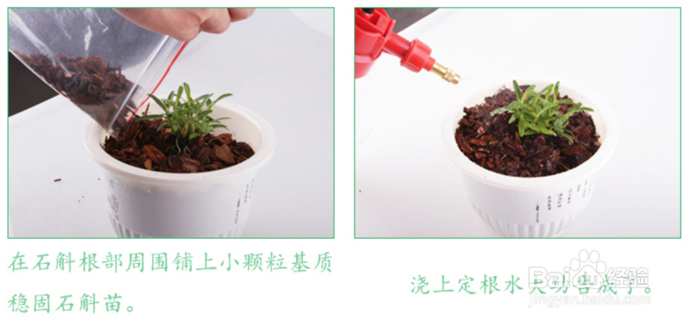 小知识！创业王怎么采购