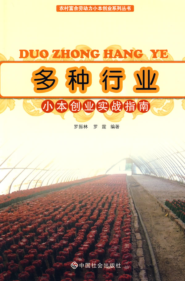 解说！小本创业点子