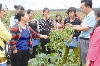 解说！农民创业项目