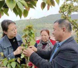 解答！农民创业项目"在线解答"