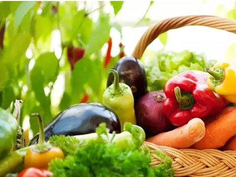 热点！农村创业点子"专业解答"