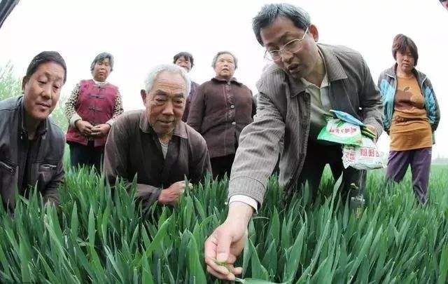 小知识！农业创业项目