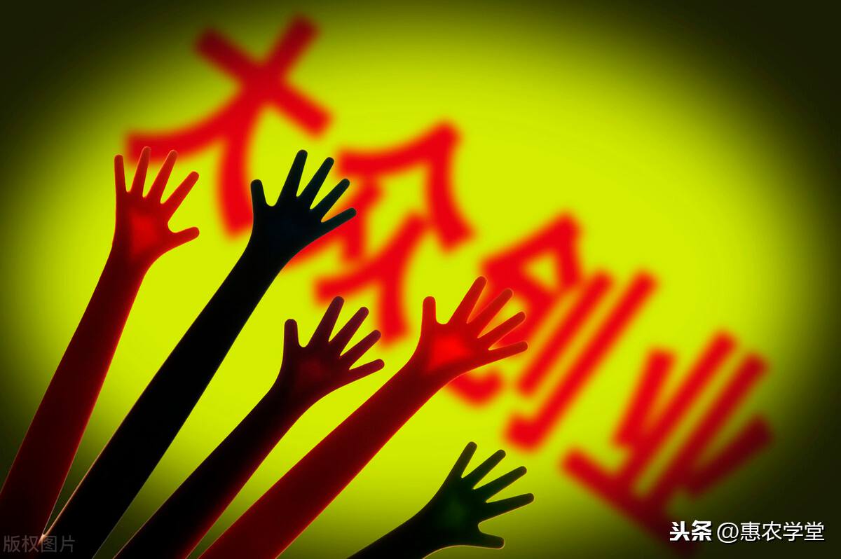 解释！1000元投资创业项目