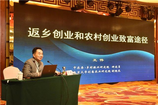 相关！农村创业成功案例