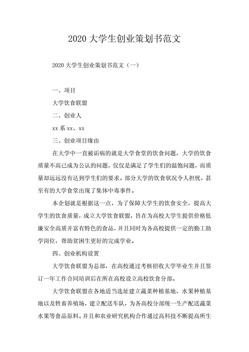 解释！大学生创业策划书模板