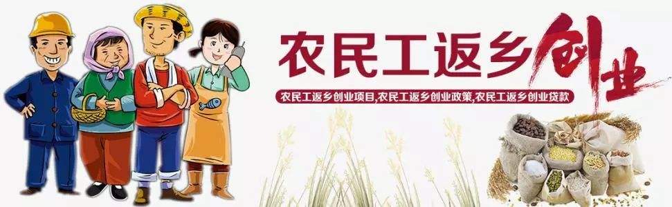 求答案！农民工返乡创业政策