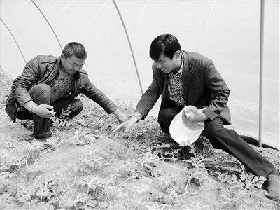 台湾农民创业园